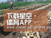 种植基地八