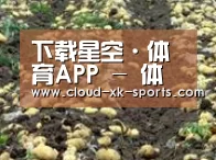 种植基地七